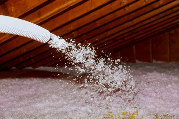 Best Energy Efficiency Solutions in Manitou Beach Devils Lake, MI